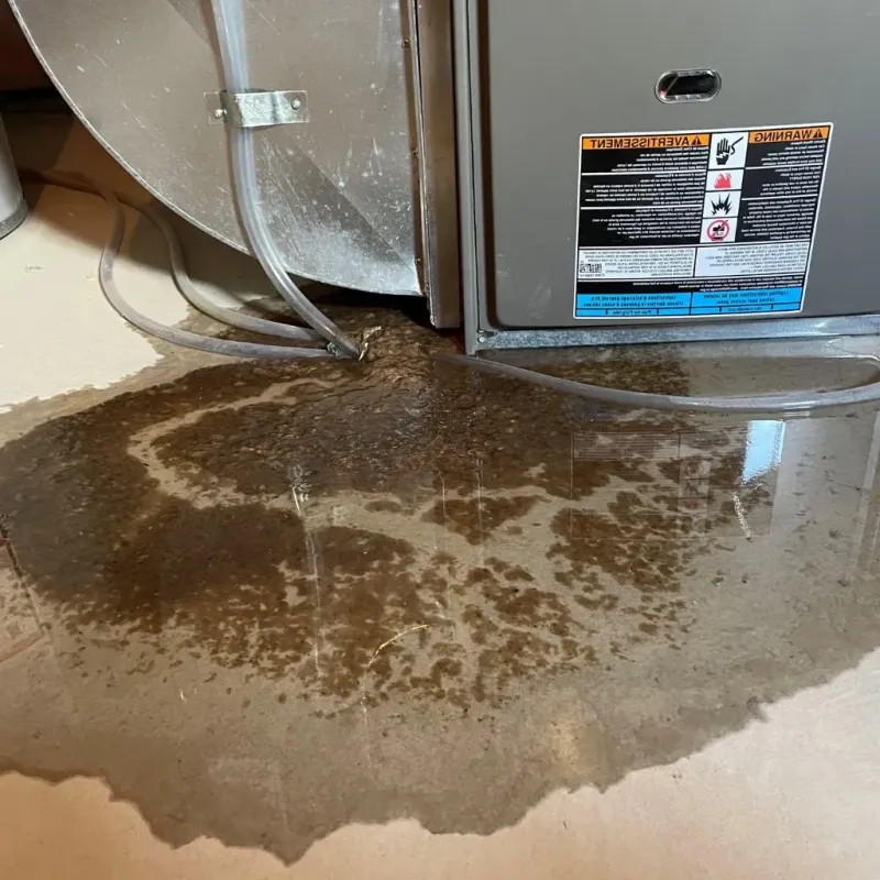Pipe Burst and Leak Restoration in Lewiston Orchards, ID