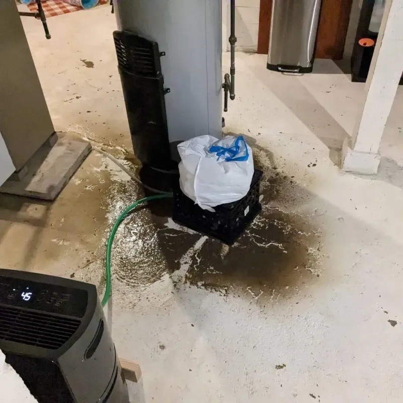 Sewage Backup Cleanup Service in Lewiston Orchards, ID